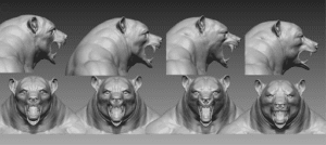 samples of head base shape designs for werebear character